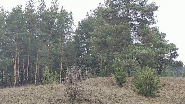 Кому нельзя носить золотые украшения. Опасное золото... смотреть онлайн