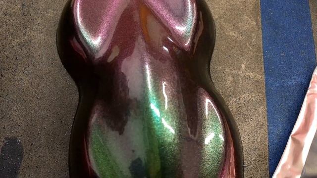 Колер хамелеон 