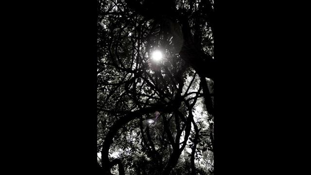 Ordo Rosarius Equilibrio - For the Good of Humankind смотреть онлайн