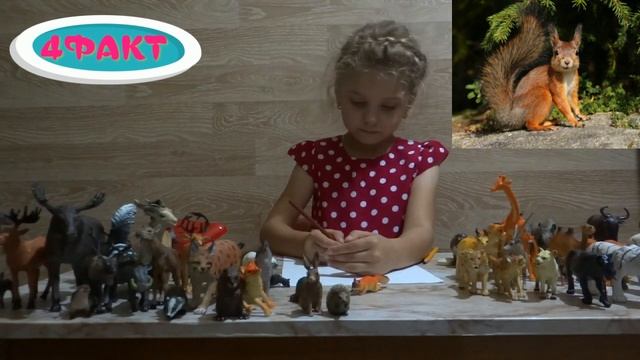 Изучаем диких животных с детьми Белка ТОП 10 Интересных фактов о белках!!!!!! смотреть онлайн