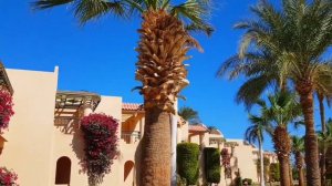 Обзор Хорошего Отеля  Ali Baba Palace 4 * . Хургада.Египет.2022!