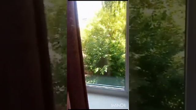 Сдается 2 к.квартира в городе Серпухов, ул. Чернышевского, д. 33 на 3 этаже 5 эт. панельного дома. смотреть онлайн