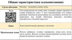 Тип Хордовые. Тема 42. Внешнее строение, скелет и мускулатура млекопитающих