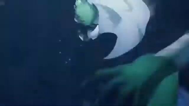 War Of Underworld - What Have You Done「AMV」