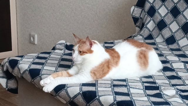 Кузя смотреть онлайн