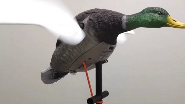 Чучело кряквы (селезень) Lucky Duck Junior II - махокрыл (чучело с вращающимися крыльями) в работе смотреть онлайн