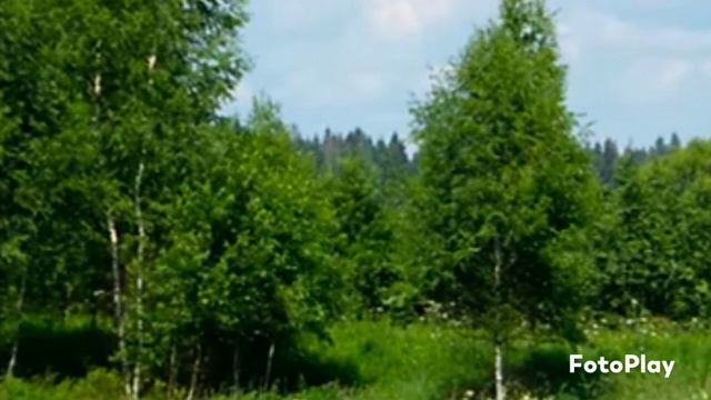 Домик у дороги . Исполняет Михаил Евдокимов . смотреть онлайн