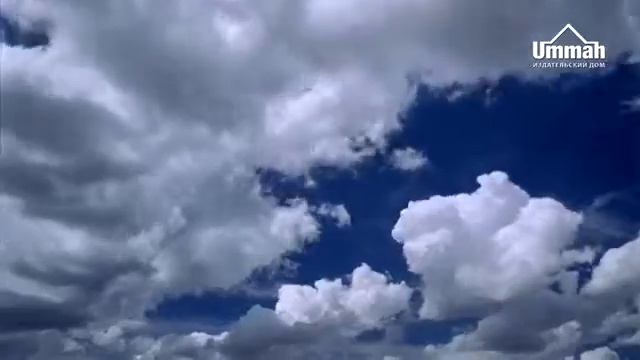 34 - Аль Ахнаф ибн Кайс Ученик аль Фарука смотреть онлайн