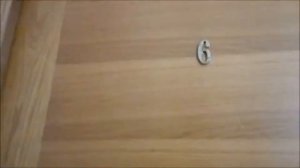 Сочи.  Дагомыс. Гостевой Дом ЛЕТНЯЯ.