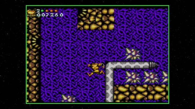 Battlemaniacs [Обзор и Интересные Факты о Battletoads на Sega Master System] #2