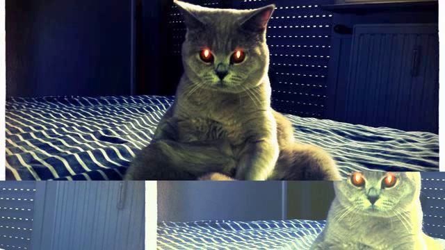 Музыка на Facebook. Настоящий хит! Вы  должны это услышать!