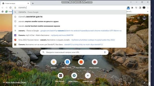 КАК СКАЧАТЬ BluStacks на ваш пк ??!! смотреть онлайн
