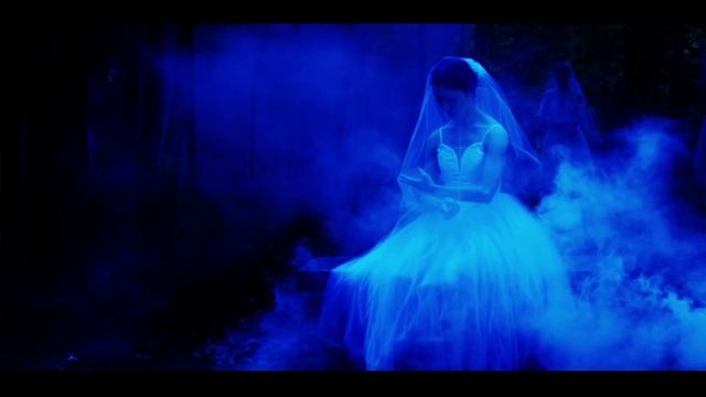 OKC Ballet's Giselle  #okcballet #giselle #ballet #dance