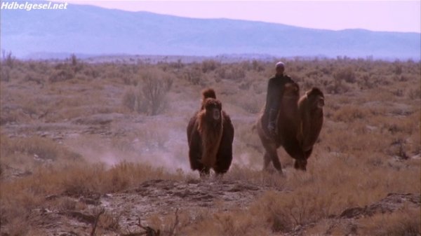 The.Story.of.the.Weeping.Camel.2003.Blu-ray.720p.x264.DTS.MySilu-00
