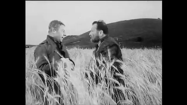 Der Brave Soldat Schwejk - RÜHMANN, HEINZ / BERGER, SENTA (2011)