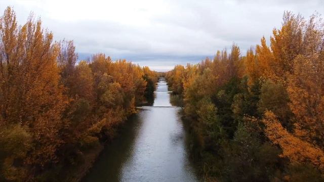 Мгновение мира / Приход любви - СТИХИ ДЛЯ ДУШИ смотреть онлайн
