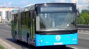 (Новинка) Автобус МАЗ-203 «Московский Транспорт»