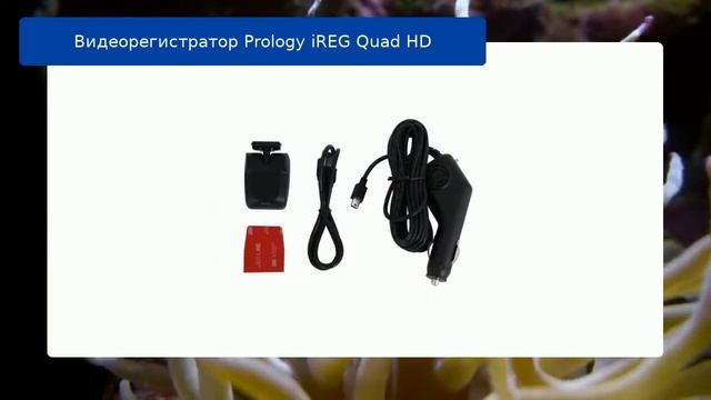 Видеорегистратор Prology iREG Quad HD обзор смотреть онлайн