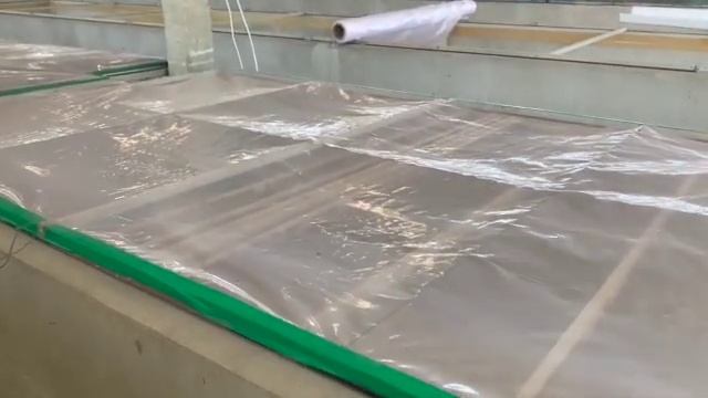 How to build humidifier for mushroom growing смотреть онлайн