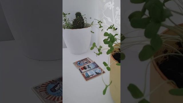 #таро ☎️📞 почему он не звонит смотреть онлайн