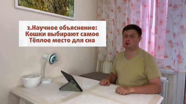 Почему Кошка ложится спать в ноги к хозяину? #КотСемён знает. 3 выпуск. смотреть онлайн
