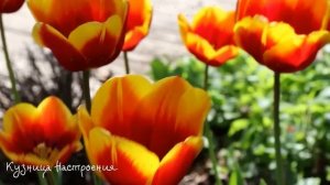 25 апреля Радоница. Родительский День. Что нельзя делать 25 апреля. Народные традиции приметы.