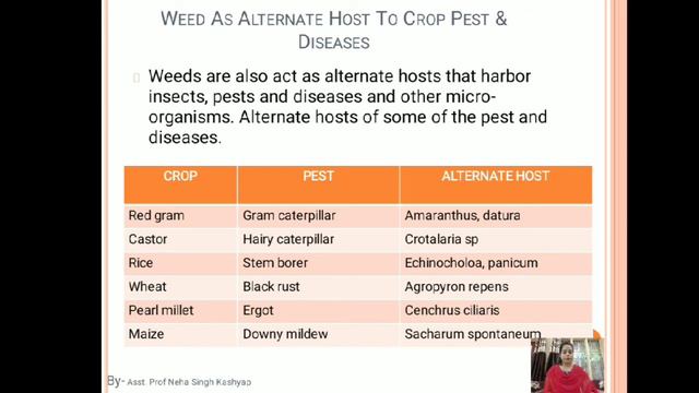 Weed Management Lec 2 B.sc. Ag . III Sem, By-Asst. Professor Neha Singh Kashyap смотреть онлайн