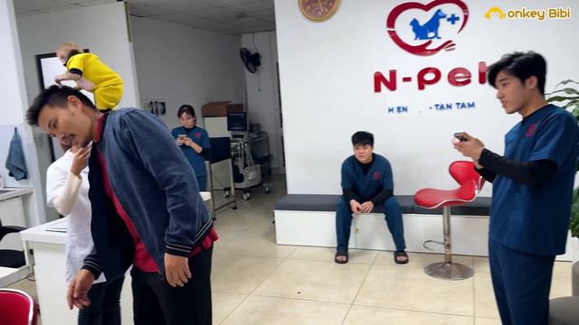 Dad took Bibi and Lu to the hospital for a general check up смотреть онлайн