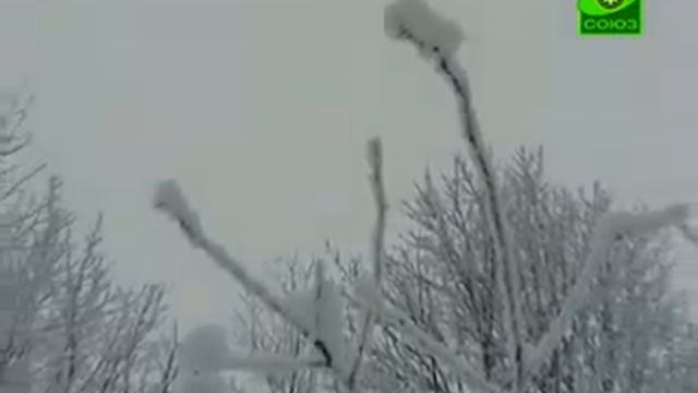 По святым местам Монастырь Белая Гора смотреть онлайн