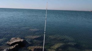 Пробная февральская рыбалка на бычка (мартовика).