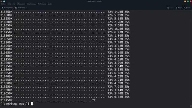 Como usar wget смотреть онлайн