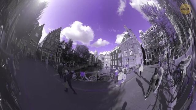 Мир глазами животных смотреть онлайн