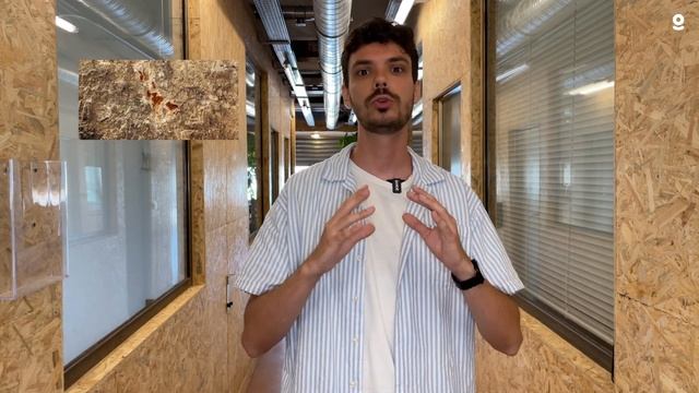 Diagnostic immobilier : comment se débarrasser des Mérules ? ? смотреть онлайн