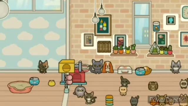 делаю пет дом в тока бока смотреть онлайн