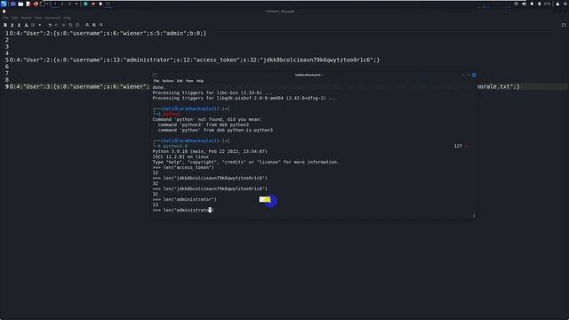 PHP insecure deserialization lab 2022 شرح ثغره смотреть онлайн