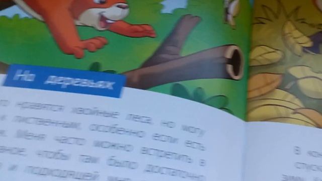 Открываем 5 выпуск Животные леса! "Белка" смотреть онлайн