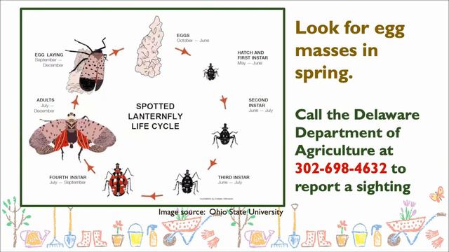 Spring Garden Startup смотреть онлайн