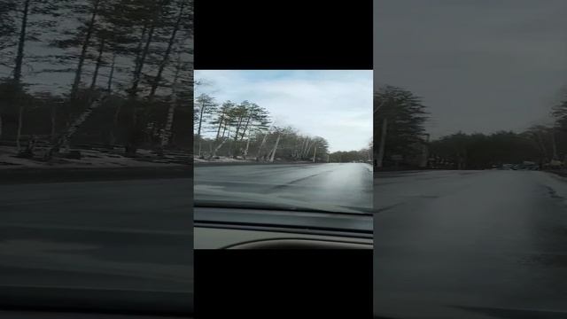 Пришла весна! смотреть онлайн