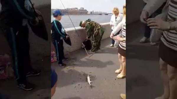 Хороший улов на Финляндском вокзале,  Санкт-Петербург. Good catch.