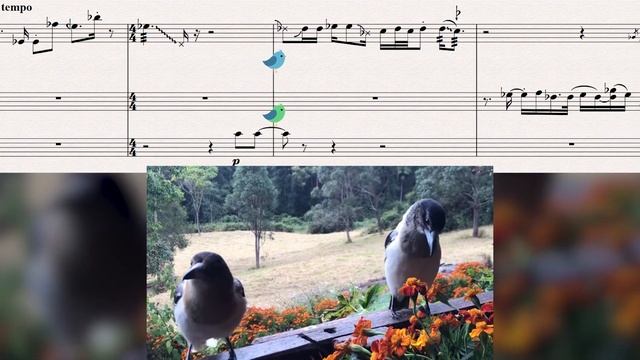 Butcherbird serenade (sheet music) смотреть онлайн