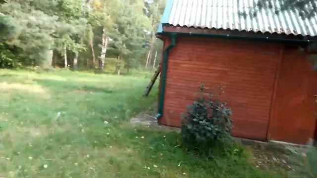 Грибной Заезд Зубачи 2017 маслята и подберёзовики смотреть онлайн