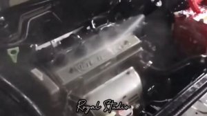 Мойка двигателя с помощью Геля Диэлектрика(предотвращает замыкание электропроводки)