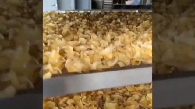 Hello river brand industrial big capacity vegetable dehydrator heat pump dryer for fruit mushroom смотреть онлайн