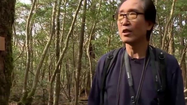 Аокигахара.Лес самоубийц.Япония_Suicide Forest in Japan 1ч смотреть онлайн