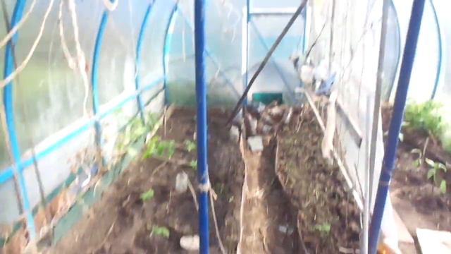 Как поливать Зелёным Удобрением сделанным своими руками. смотреть онлайн