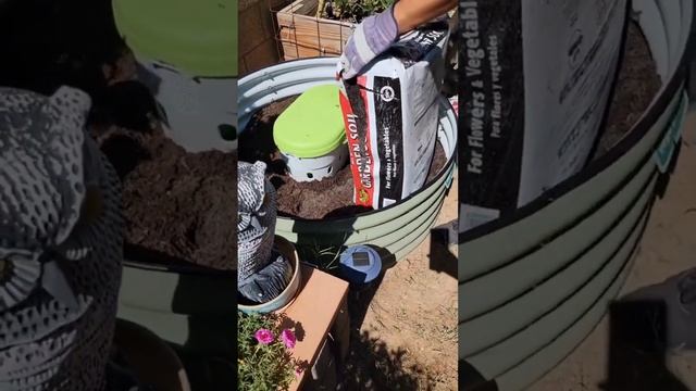 Make Composting easy with Worms! смотреть онлайн