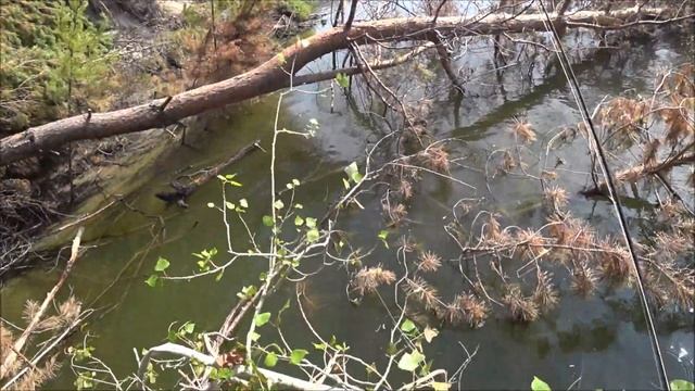 Рыбалка на лодке в отвес на реке.Щука,окунь.Рыбалка смотреть онлайн