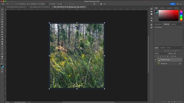 Using Camera Raw filter on other filetypes (ex. heic) смотреть онлайн