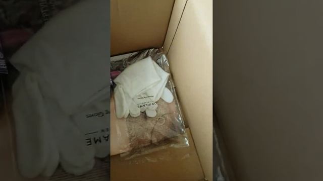 Август-обзор. Подарок в придачу.