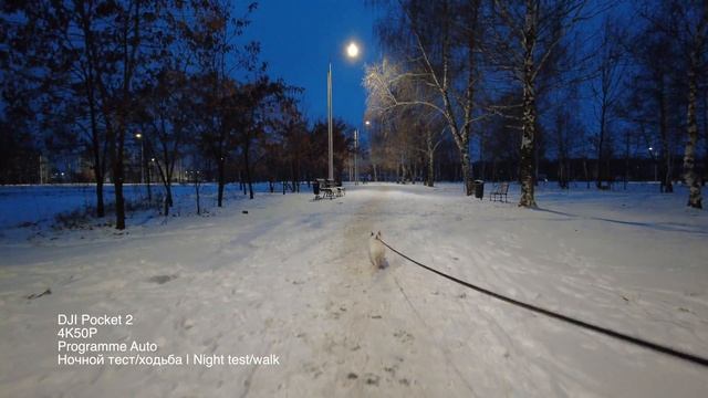 DJI Pocket 2 Ночной тест, зум | Night test, Zoom смотреть онлайн